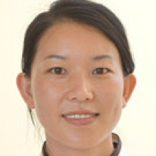 李洪会   