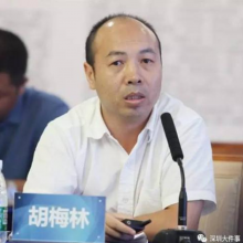 胡梅林